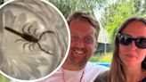 Scorpion surprise as West Country newlyweds find venomous stowaway in honeymoon luggage