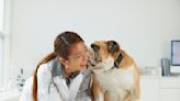 3 signs you need pet insurance