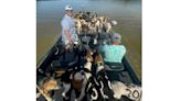 38 dogs were close to drowning on a Mississippi lake. But some fishermen had quite a catch