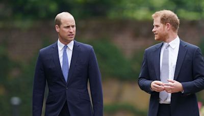 Prince William extends subtle olive branch to Prince Harry after apology plea