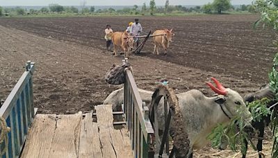 78% of kharif sowing completed in Kalaburagi district