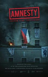 Amnesty (2019 film)