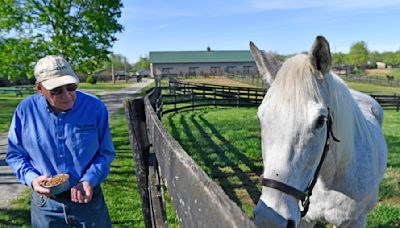 For ex-Derby winner Silver Charm, it’s a life of leisure and Old Friends at Kentucky retirement farm