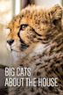 Big Cats About the House