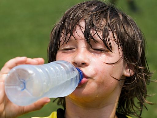 What do heatwaves do to the body and who is at risk?