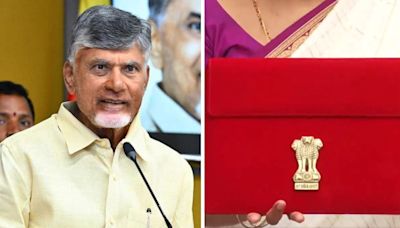 Budget 2024: Andhra Pradesh CM Chandrababu Naidu Thanks PM Modi & FM Nirmala Sitharaman For Recognizing...