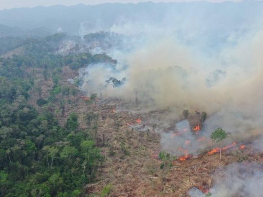 森林大火燒毀5200個足球場面積 瓜地馬拉進入災難狀態│TVBS新聞網