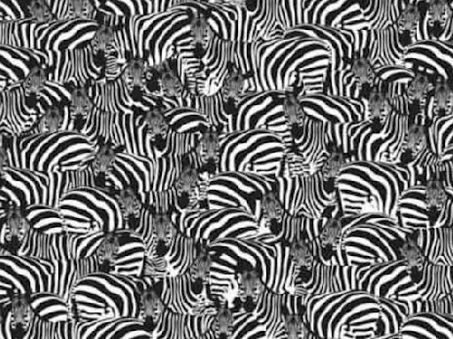 Brain teaser: Can you find the hidden piano among zebras in 8 seconds?