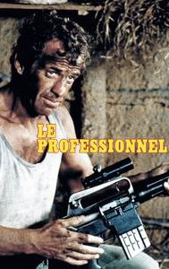 The Professional (1981 film)