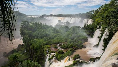 Misiones: las Cataratas del Iguazú son la estrella, pero hay mucha más selva, ríos y animales salvajes