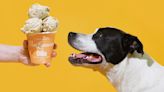 The creators of ranch ice cream now have a flavor for dogs