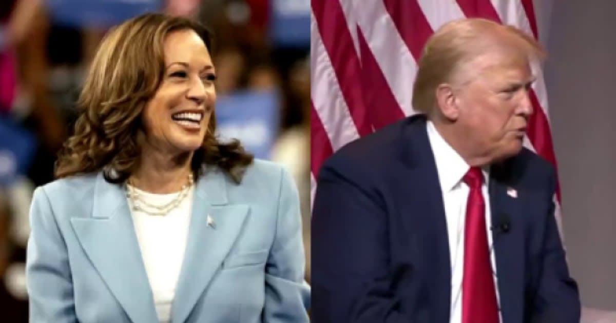 ‘Journalistic charade’: Trump slammed for VP Harris attacks at Black journalists’ conference