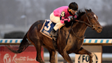 Deterministic trainer, jockey, owner and more to know about 2024 Kentucky Derby horse