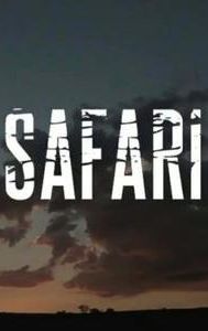 Safari (1991 film)