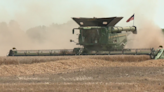 Kansas farmers predict strong wheat yield this year