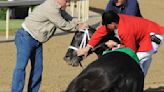 Kentucky Derby deaths bring changes ahead of Saturday's race