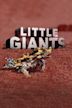 Little Giants