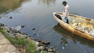 El calor ya mata peces en Tabasco