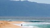 Hawaii lifeguard dies in shark attack while surfing off Oahu