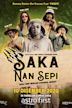 Saka Nan Sepi