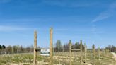 Abandoned Mine Turns Apple Orchard With Help Of National Guard - West Virginia Public Broadcasting