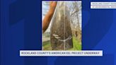 Rockland County's American Eel Project underway