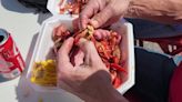Hundreds of people take part in the 18th Annual Ozark Crawdad and Music Festival