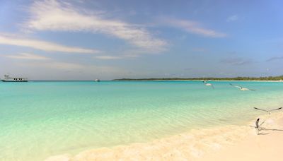 This Stunning Caribbean Beach Has the Clearest Waters in North America