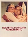 Nokketha Doorathu Kannum Nattu