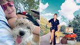 You can take your dog on holiday, says Sophia Money-Coutts