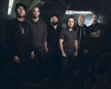 Despised Icon