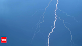 12 more die in lightning strikes in Bihar, toll hits 37 in 6 days | India News - Times of India