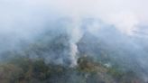 Sin control 3 de los 5 incendios que devoran selva de Los Chimalapas en Oaxaca; nadie los combate