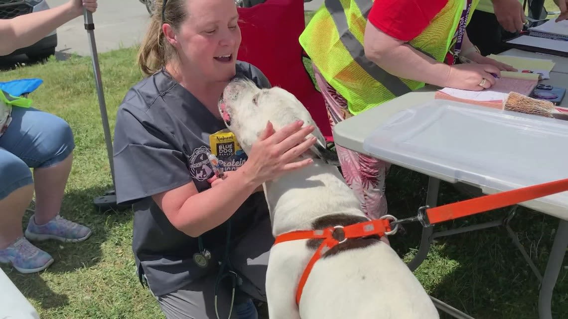 Portland partners with local animal shelter to host pet food pantry and free clinic