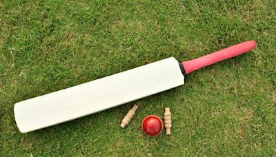 Sai Sudharsan scores 14, Prithvi Shaw 31 and 37 in county cricket
