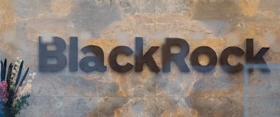 BlackRock Hires Government Liaison as Texas Pushes Against ESG