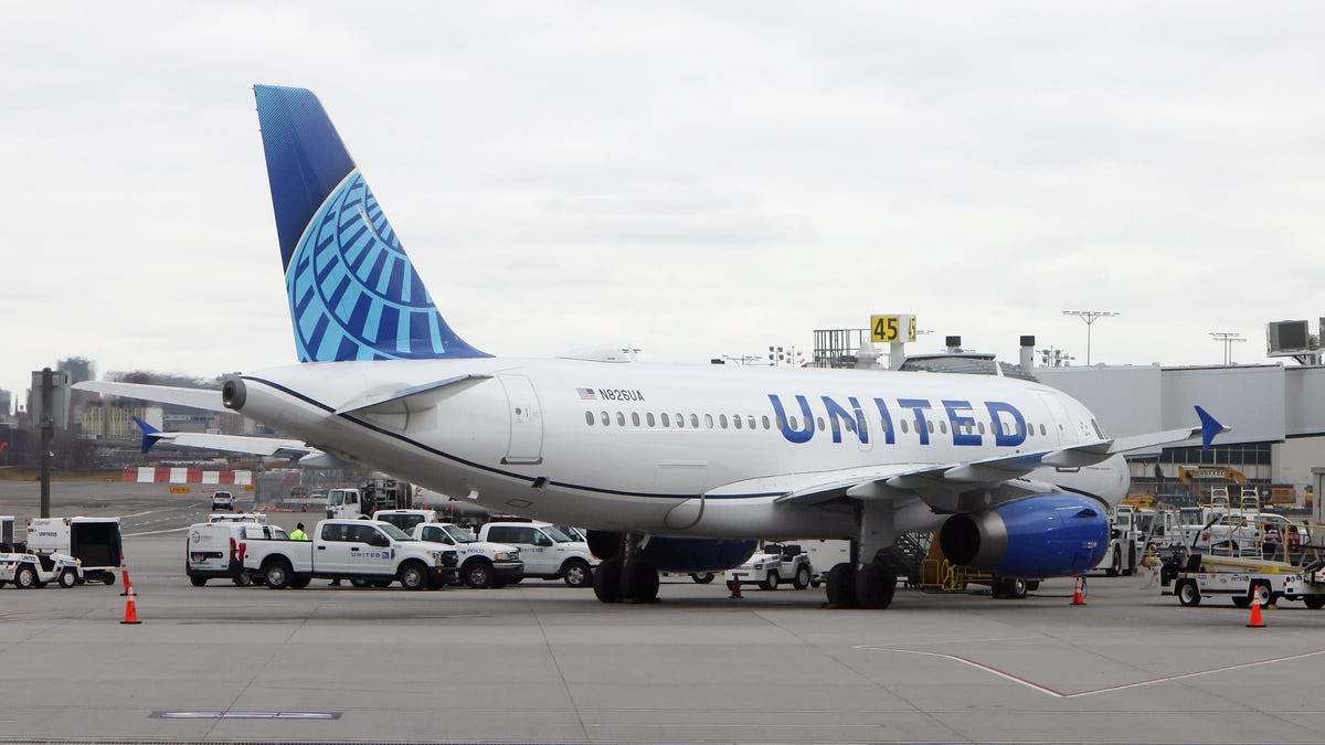 United Airlines says flight attendants need to start proving they're sick to take time off