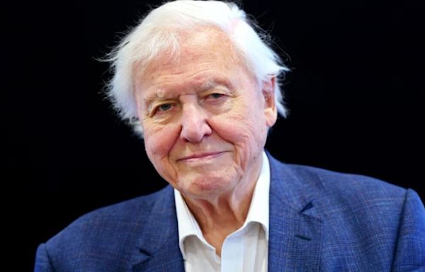 David Attenborough sparks concern after National Television Awards absence