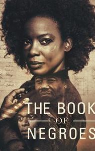 The Book of Negroes