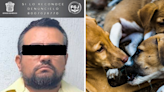 Denuncian maltrato animal y muerte de seis perritos en instalaciones de Conagua