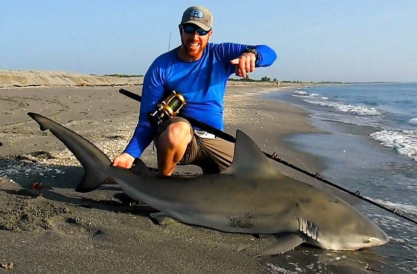 Shark Week episode highlights dead zone killing fish, marine life in Indian River Lagoon