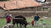 La infancia sufre las silenciosas consecuencias de El Niño en los Andes peruanos