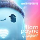 Sunshine (Liam Payne song)