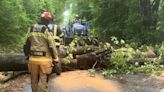 Storms topple trees in Jasper County