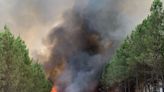 Una oleada de incendios arrasa miles de hectáreas en Francia