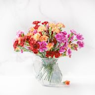 Thoughtfully curated arrangements featuring flowers that are in season. These arrangements capture the essence of the current season, whether its the vibrant blooms of summer, the warm tones of autumn, or the festive spirit of the holidays.