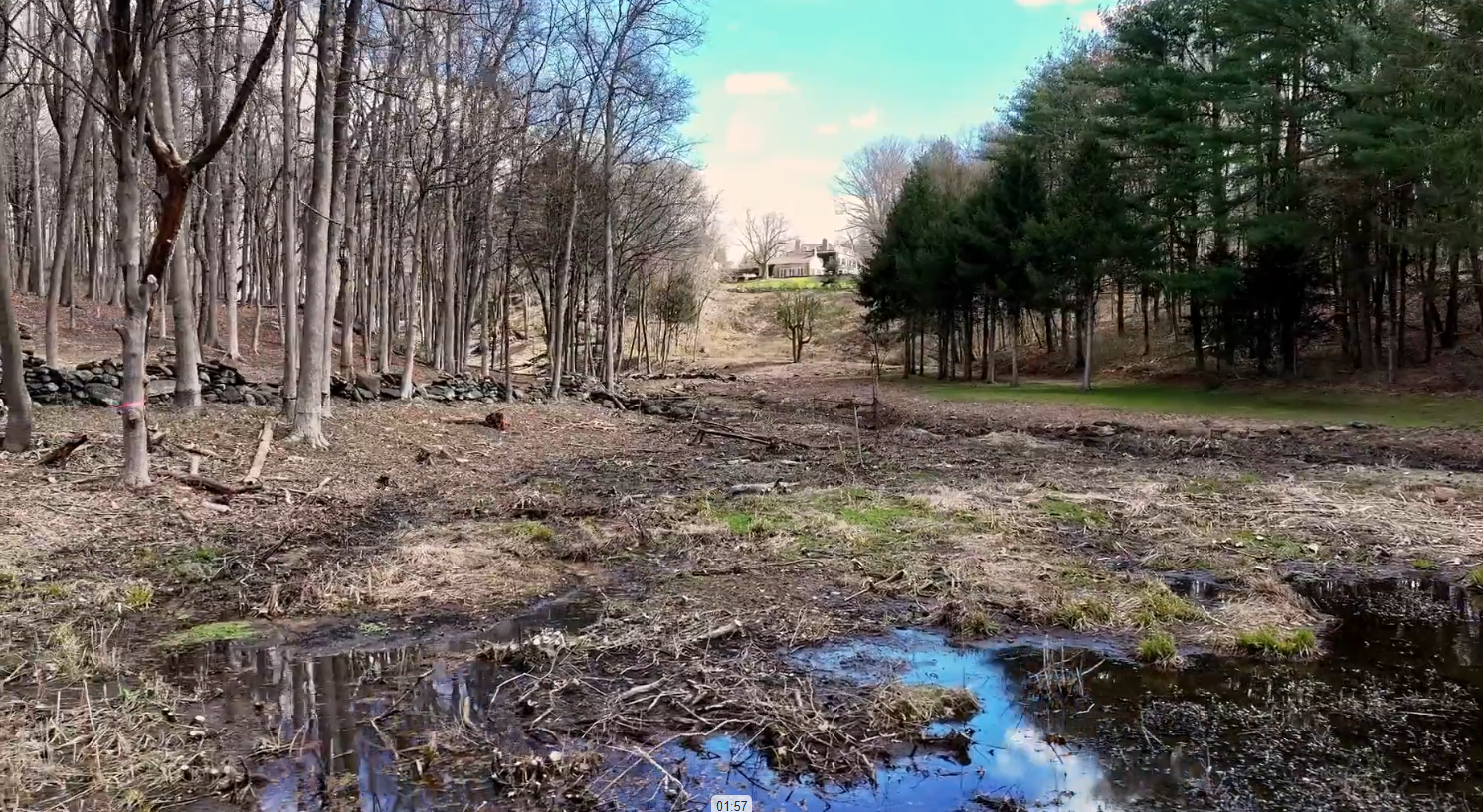 Lawsuit blames Stamford landscaper hired by Gov. Lamont and others for 'indiscriminate' tree removal