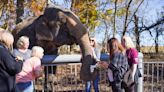 Elephants, alpacas, drive-thru safari: Check out interactive zoo experiences in Oklahoma