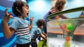 Kids, parents celebrate Modesto Children’s Museum opening day. What to know before you go