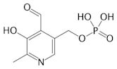 Vitamin B6